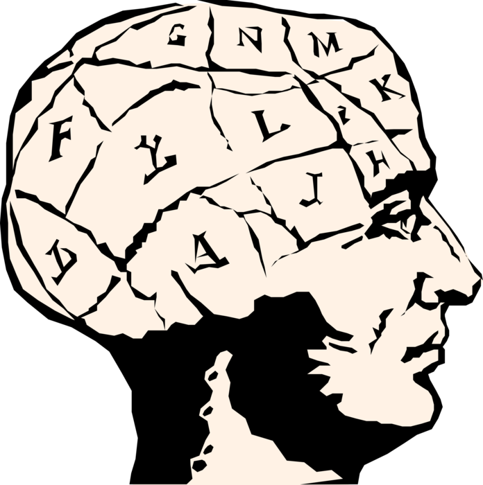 Vector Illustration of Phrenological Chart Maps the Human Brain