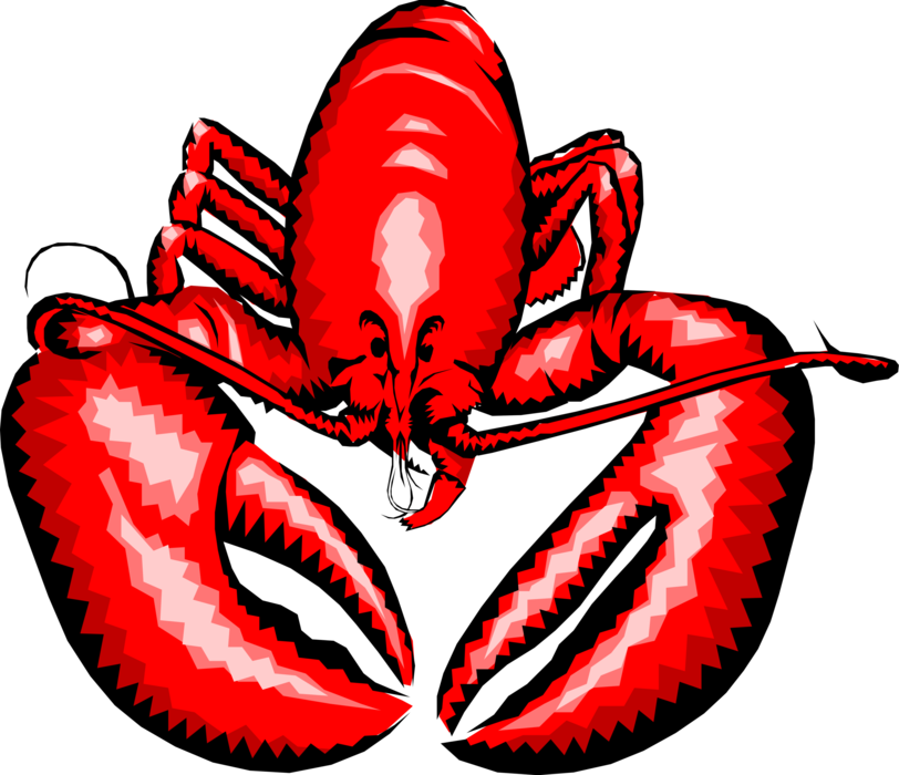 Vector Illustration of Clawed Lobster Shellfish Marine Crustacean Seafood