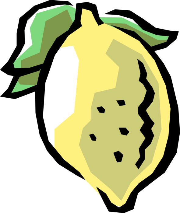 Vector Illustration of Citrus Fruit Lemons