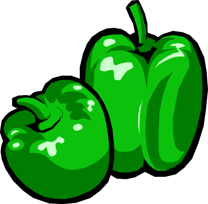 Vector Illustration of Green Pepper Capsicum Bell Pepper