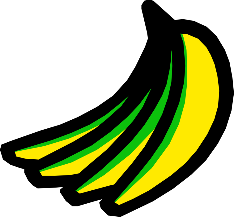 Vector Illustration of Soft, Sweet, Dessert Banana Edible Fruit 