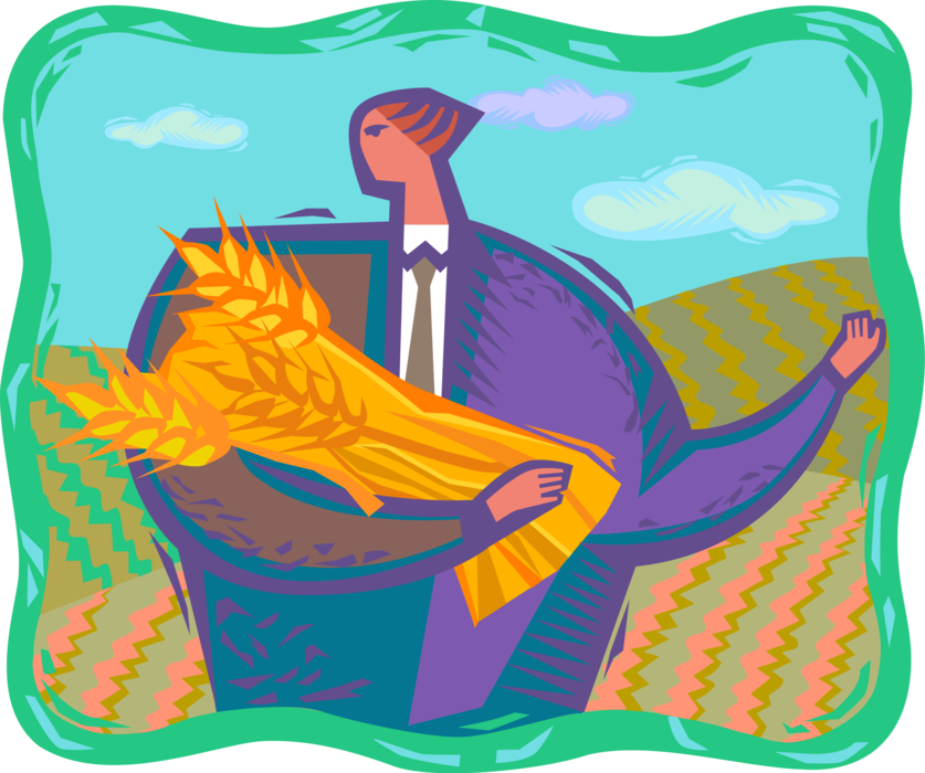 Vector Illustration of Harvesting Crop of Wheat Grain of Cereal Grass