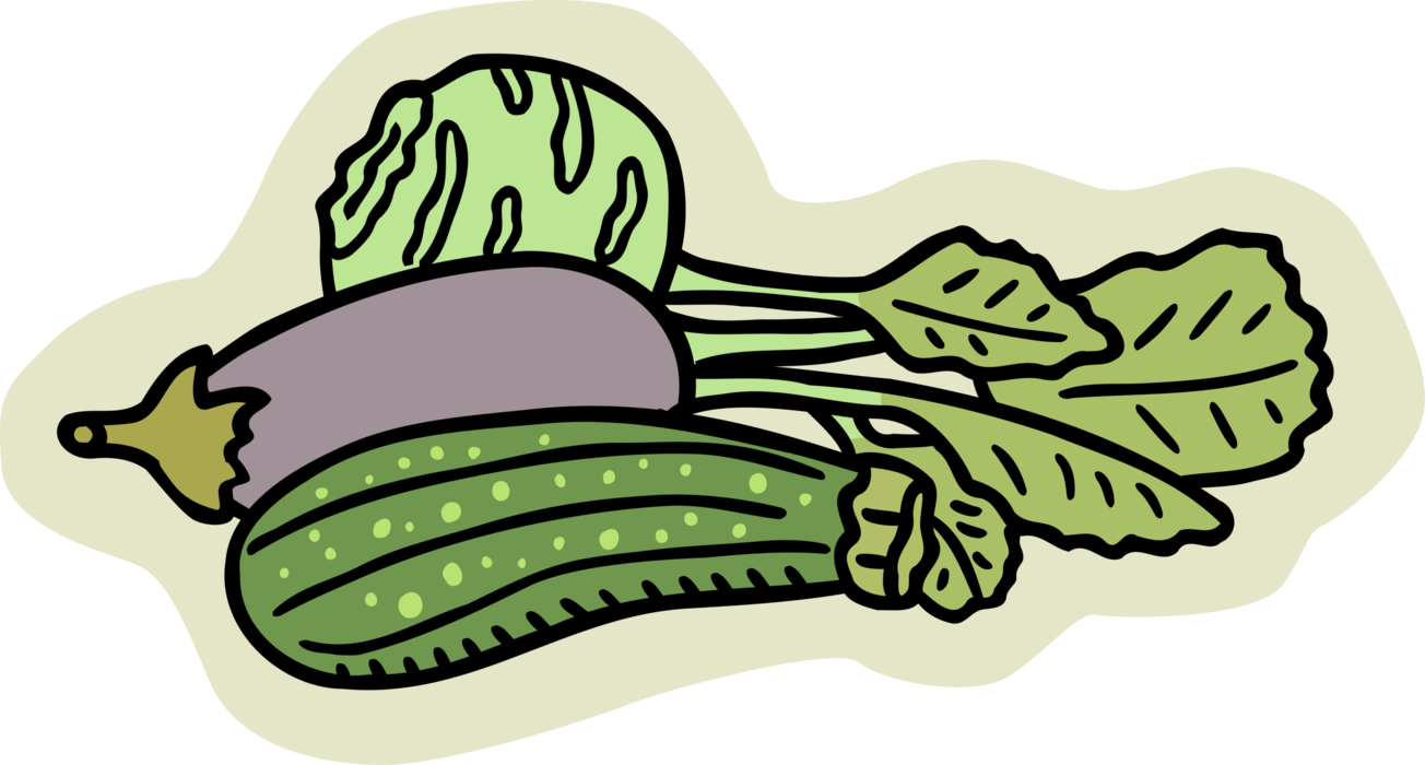 Vector Illustration of Kohlrabi, Zucchini and Eggplant Aubergine Edible Vegetables