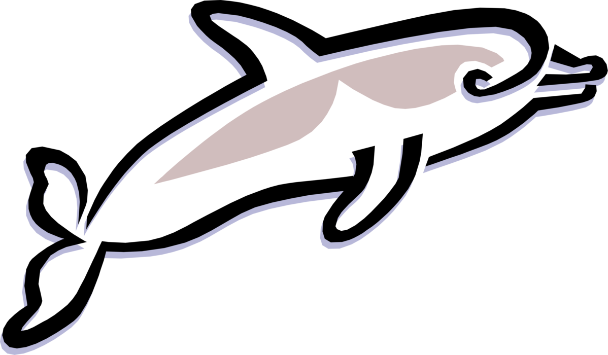 Vector Illustration of Aquatic Marine Mammal Cetacean Dolphin