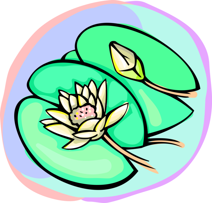 Vector Illustration of Water Lilies Lily Pad Flower and Leaf Flowering Plant