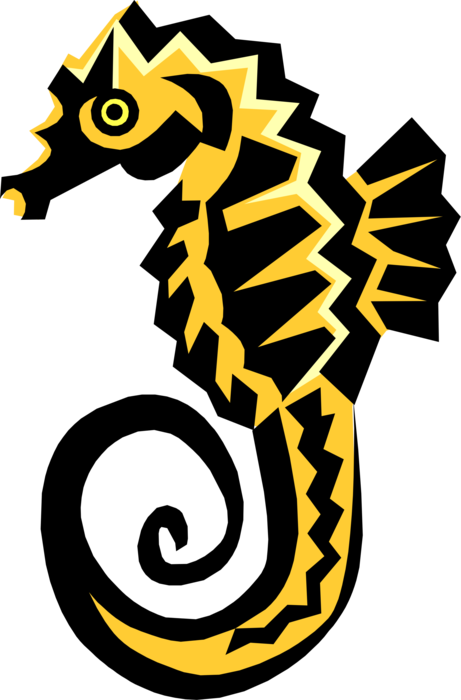 Vector Illustration of Marine Fish Hippocampus Genus Seahorse