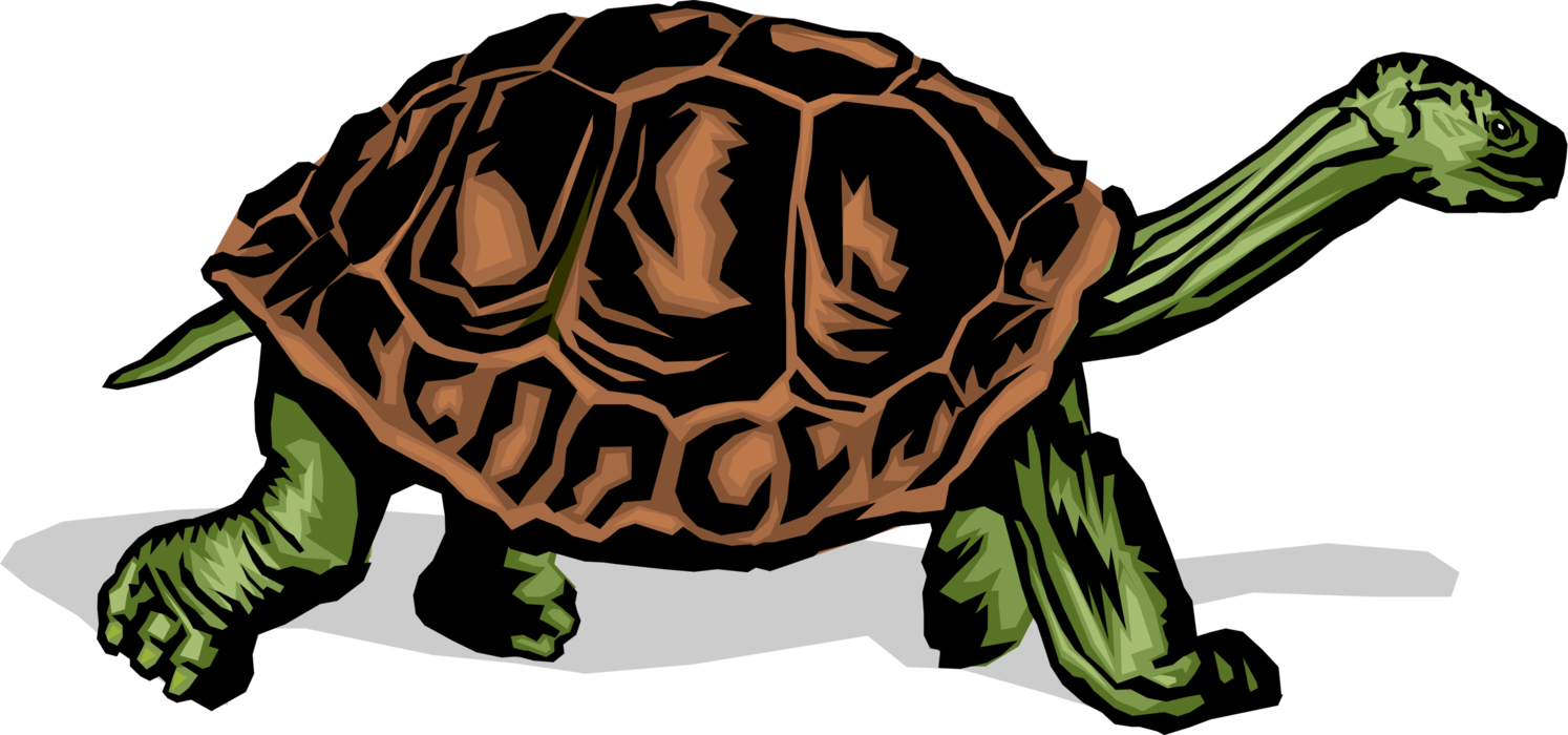 Vector Illustration of Slow-Moving Terrestrial Reptile Tortoise or Turtle
