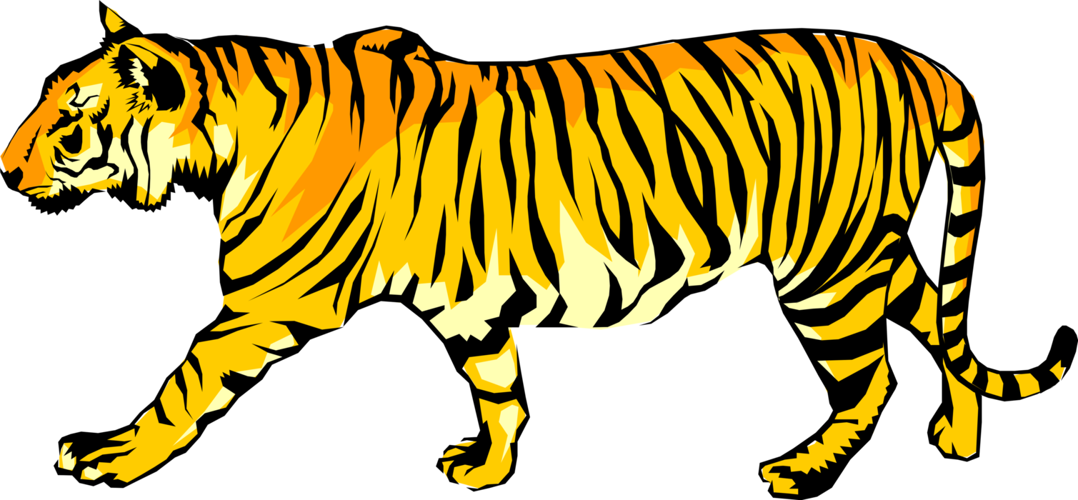 Vector Illustration of Royal Bengal Tiger from from Nepal, Bhutan, Assam, Uttarakhand and West Bengal