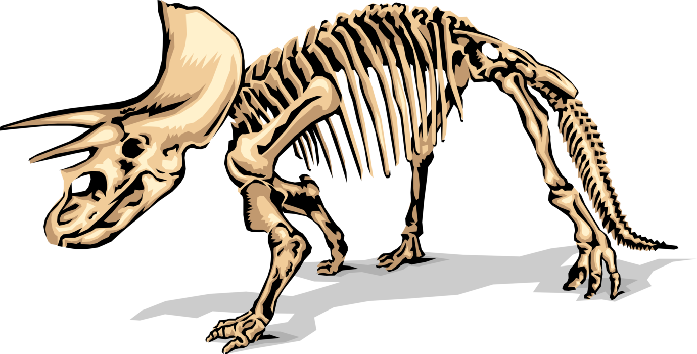 Vector Illustration of Prehistoric Triceratops Dinosaur Skeleton Bones from Jurassic and Cretaceous Periods
