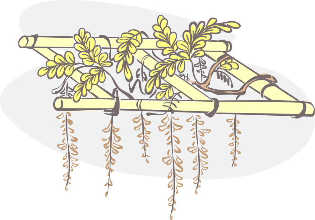 Vector Illustration of Garden Pergola or Arbor with Hanging Plants
