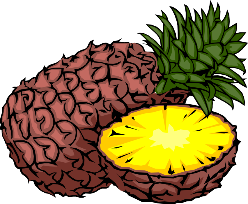 Vector Illustration of Edible Juicy Tropical Fruit Sliced Pineapple