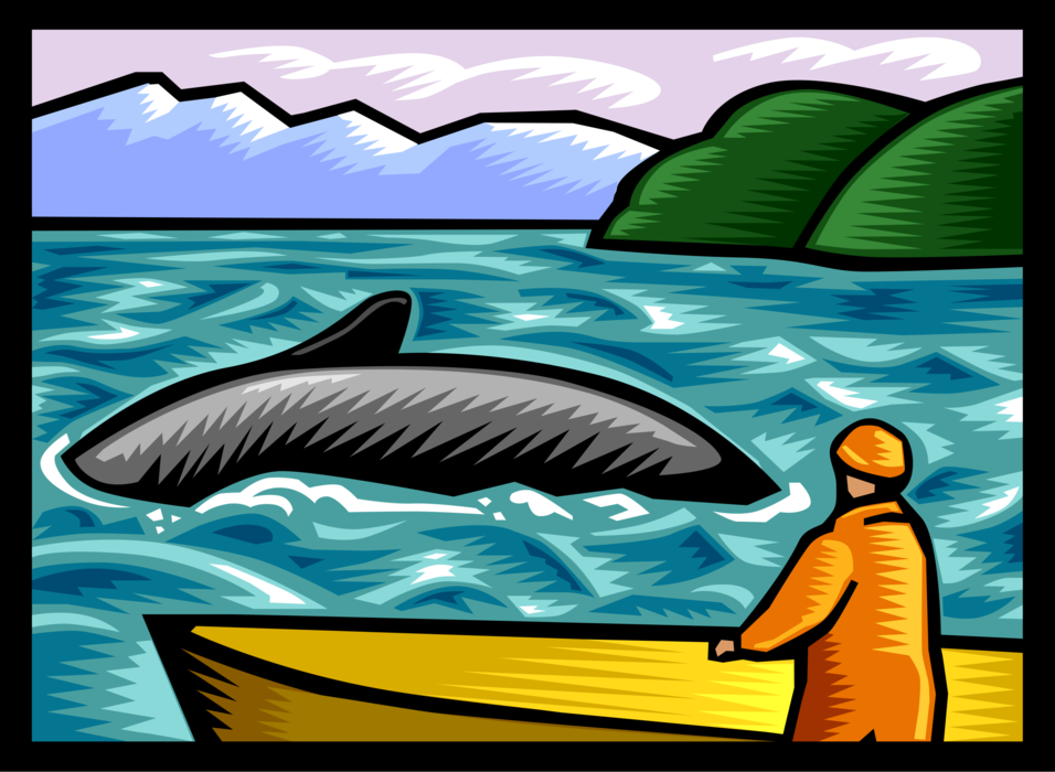 Vector Illustration of Humpback Whale Watching Tour Boat with Cetacean Whales Surfacing and Breaching