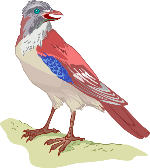 Vector Illustration of Feathered Bird with Red Wings