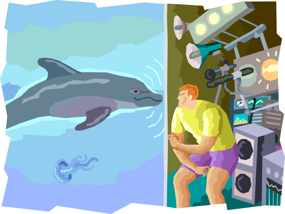 Vector Illustration of Scientific Research of Aquatic Marine Mammal Cetacean Dolphin