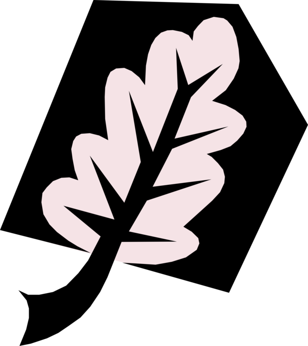 Vector Illustration of Large Botanical Horticulture Single Leaf