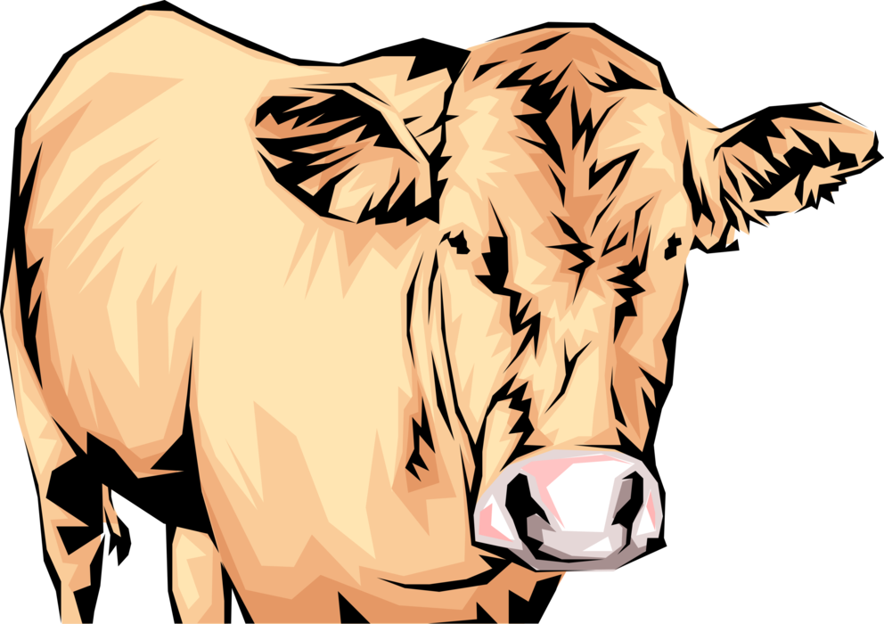 Vector Illustration of Farm Agriculture Livestock Animal Dairy Cow Head and Body Standing