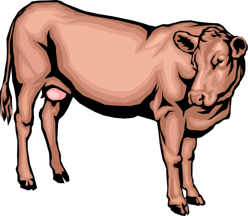 Vector Illustration of Farm Agriculture Livestock Animal Brown Dairy Cow