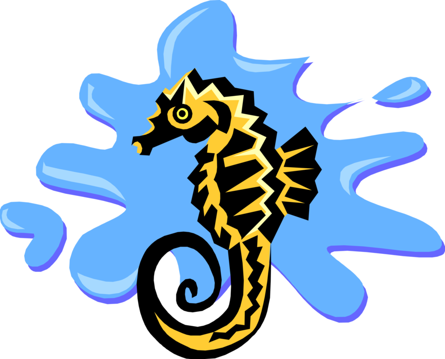 Vector Illustration of Marine Fish Hippocampus Genus Seahorse