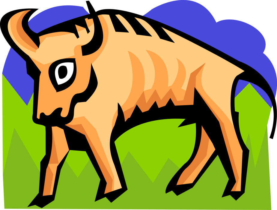 Vector Illustration of Cattle Cow Steer Bull with Horns 