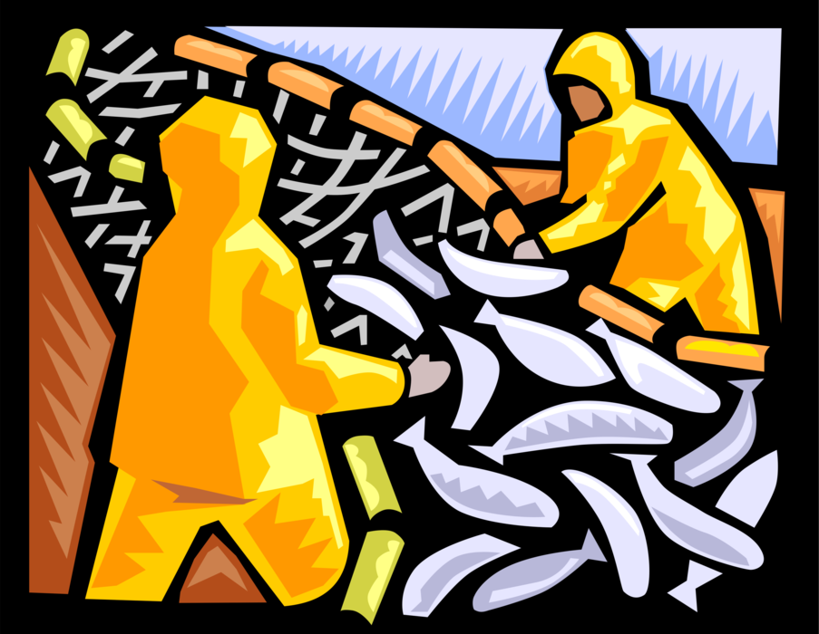 Vector Illustration of Commercial Fishing Industry Fishermen Clear Nets of Fish