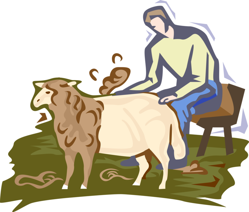 Vector Illustration of Farmer Shearing Sheep for Wool