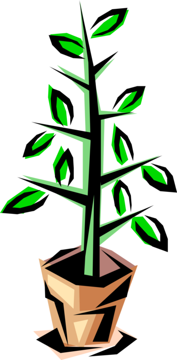 Vector Illustration of Indoor Potted Botanical Plant