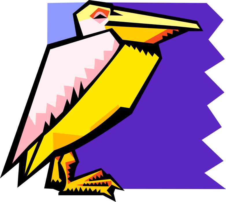 Vector Illustration of Large Water Bird Pelican