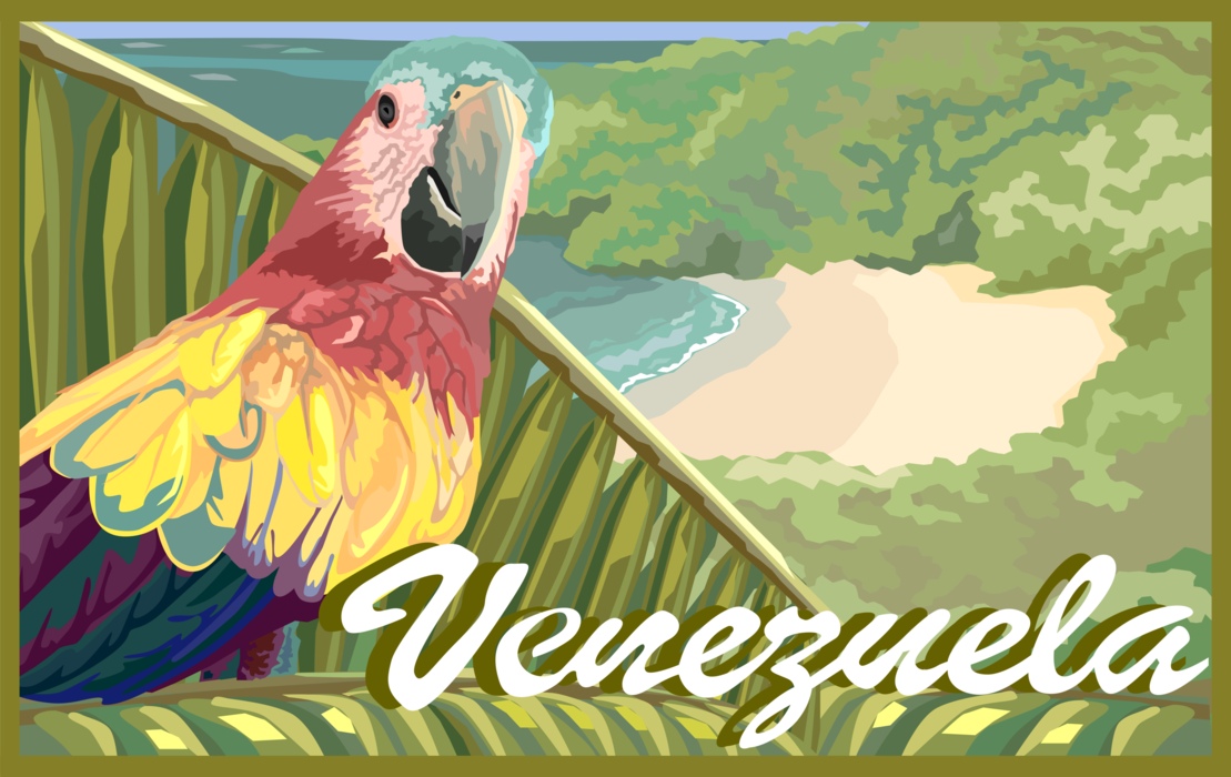 Vector Illustration of Venezuela Postcard Design with Lush Jungle and Parrot Bird