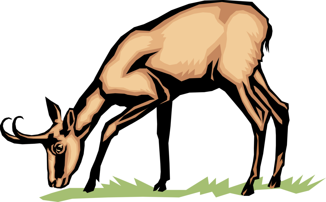 Vector Illustration of African Antelope Bends Down to Feed on Grass