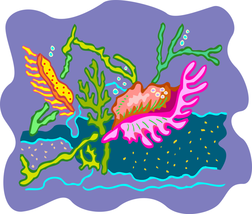 Vector Illustration of Colorful Underwater Marine Life on Reef