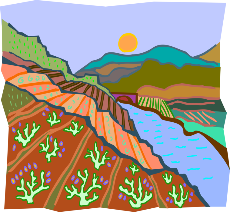 Vector Illustration of Stream by Terraced Farming Leads to Bridge
