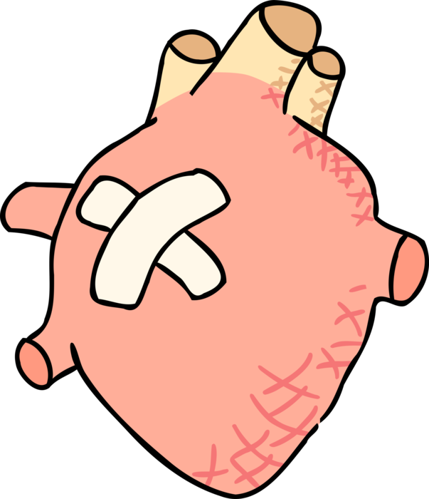 Vector Illustration of Human Heart with Band-Aid