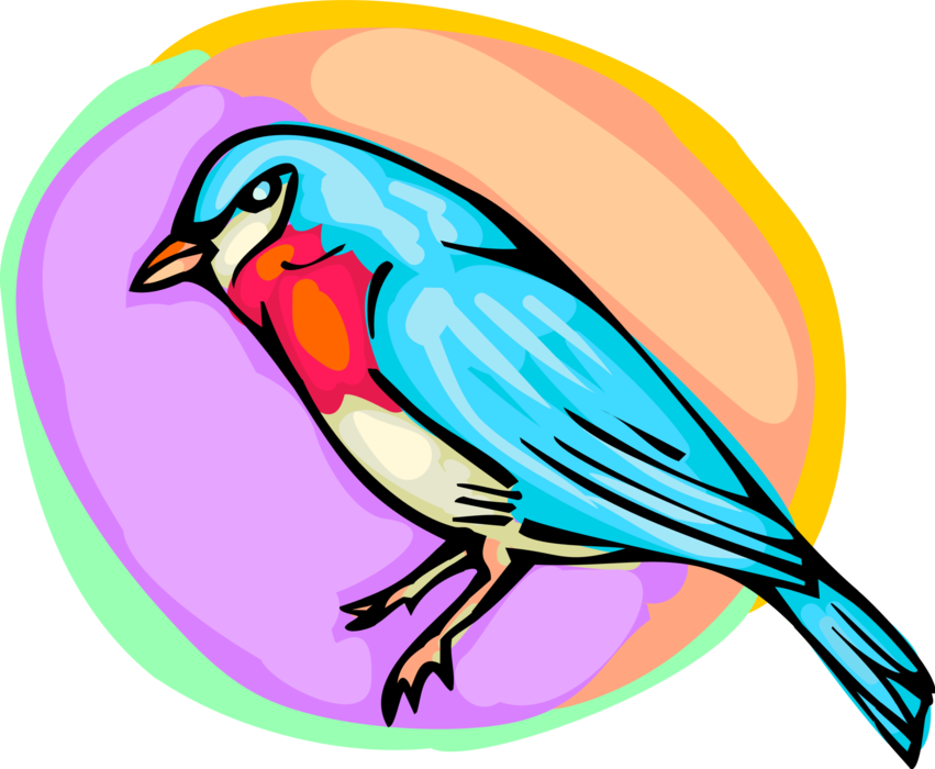 Vector Illustration of Small Bluebird Bird