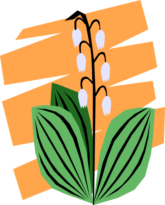 Vector Illustration of Delicate Garden Flowers