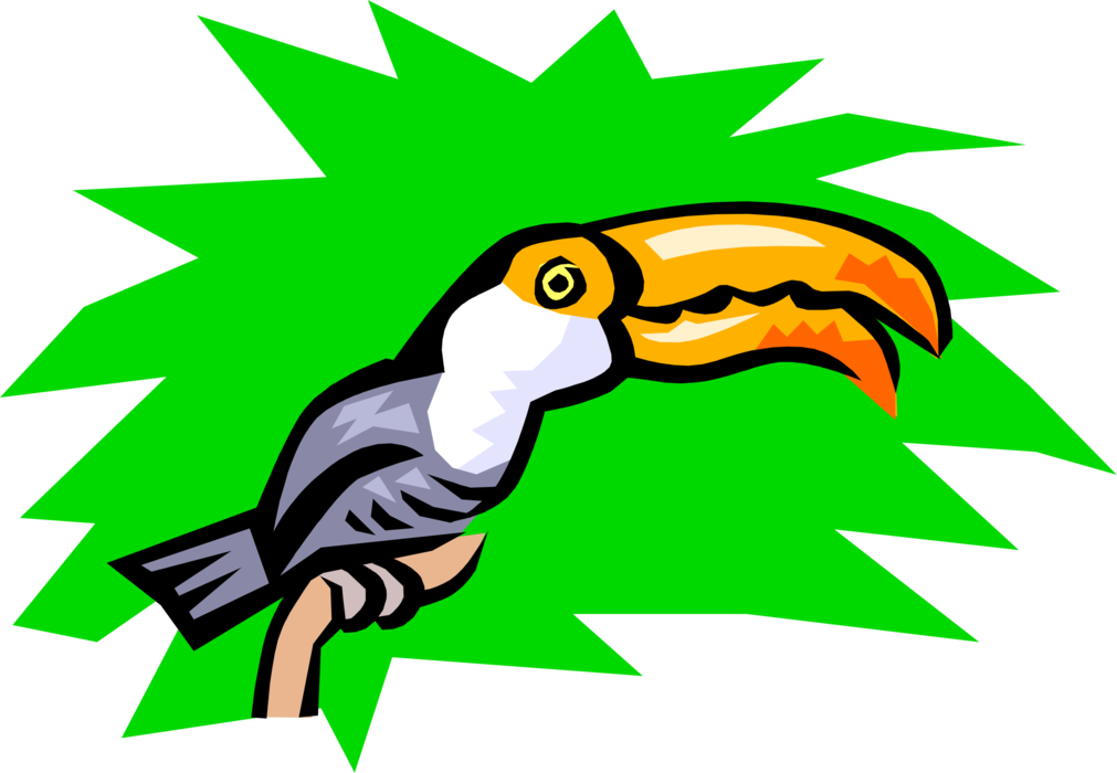 Vector Illustration of Colorful Large-Bill Toucan Bird