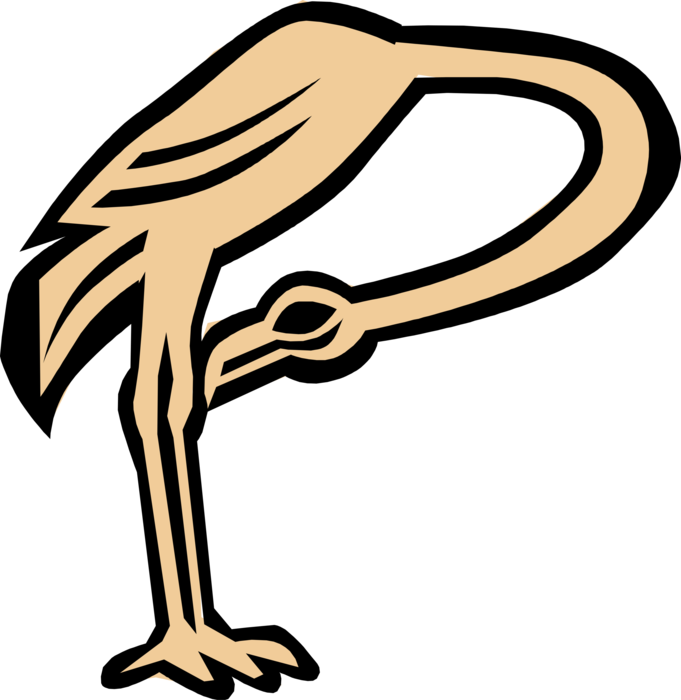 Vector Illustration of Flamingo Bird Symbol