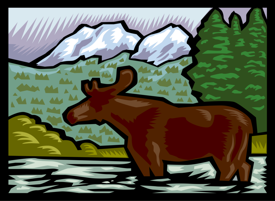 Vector Illustration of Long-Headed Mammal Moose Stands in Water in Canadian Rocky Mountains