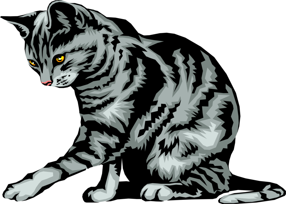 Vector Illustration of Family Pet Domestic Small Domesticated Carnivore Kitten Cat