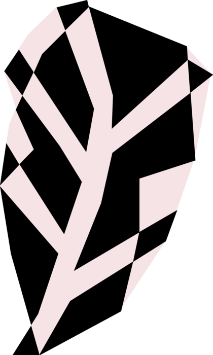 Vector Illustration of Leaf Venation