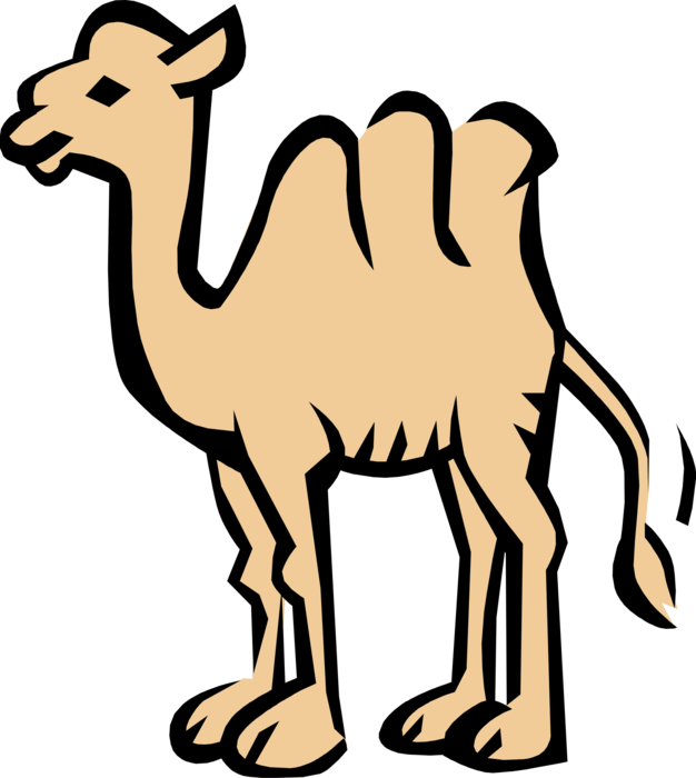 Vector Illustration of Dromedary Beast of Burden Camel
