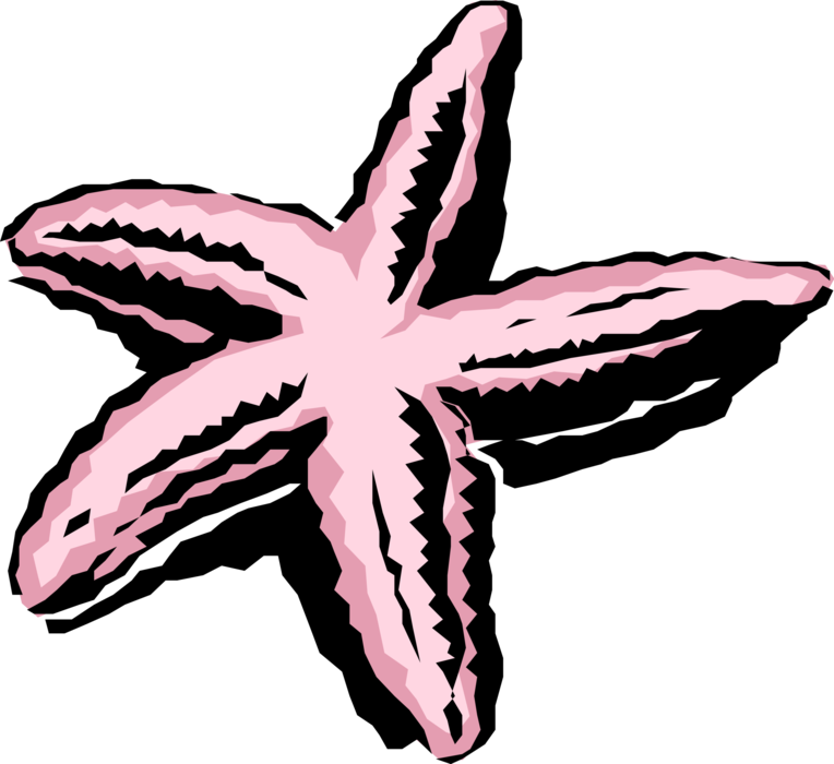 Vector Illustration of Pink Marine Invertebrate Starfish