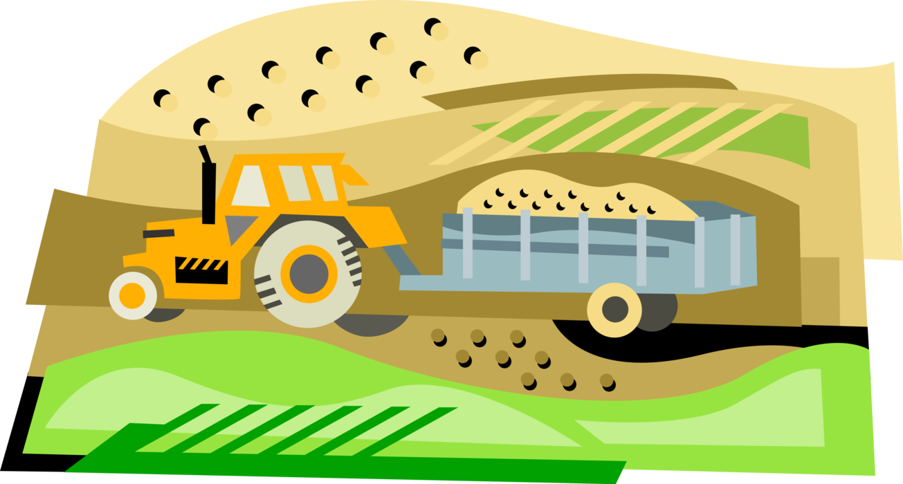 Vector Illustration of Farm Equipment Tractor Hauls Harvest in Trailer