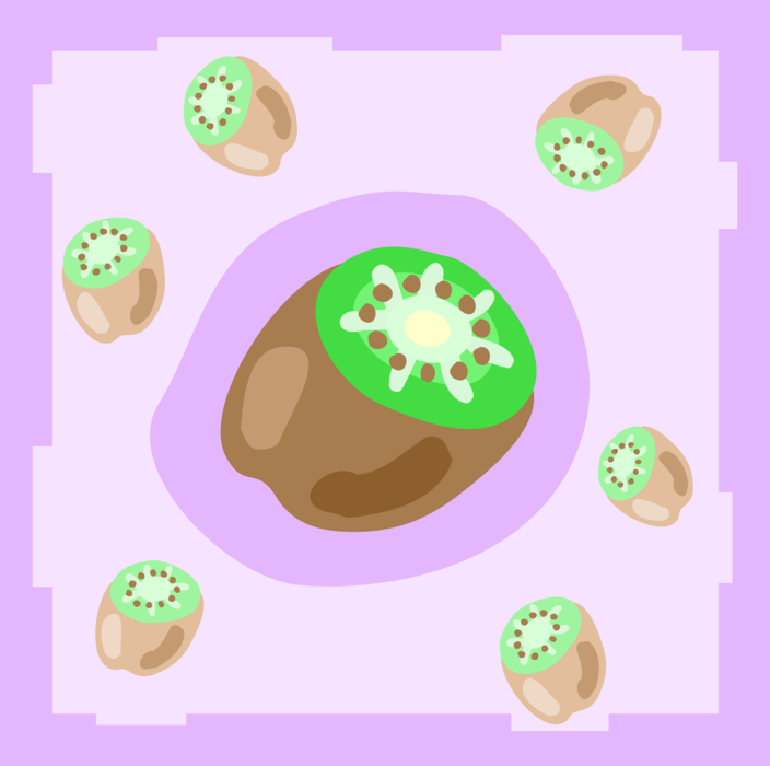 Vector Illustration of Kiwifruit, Chinese Gooseberry or Kiwi Edible Berry Fruit Food