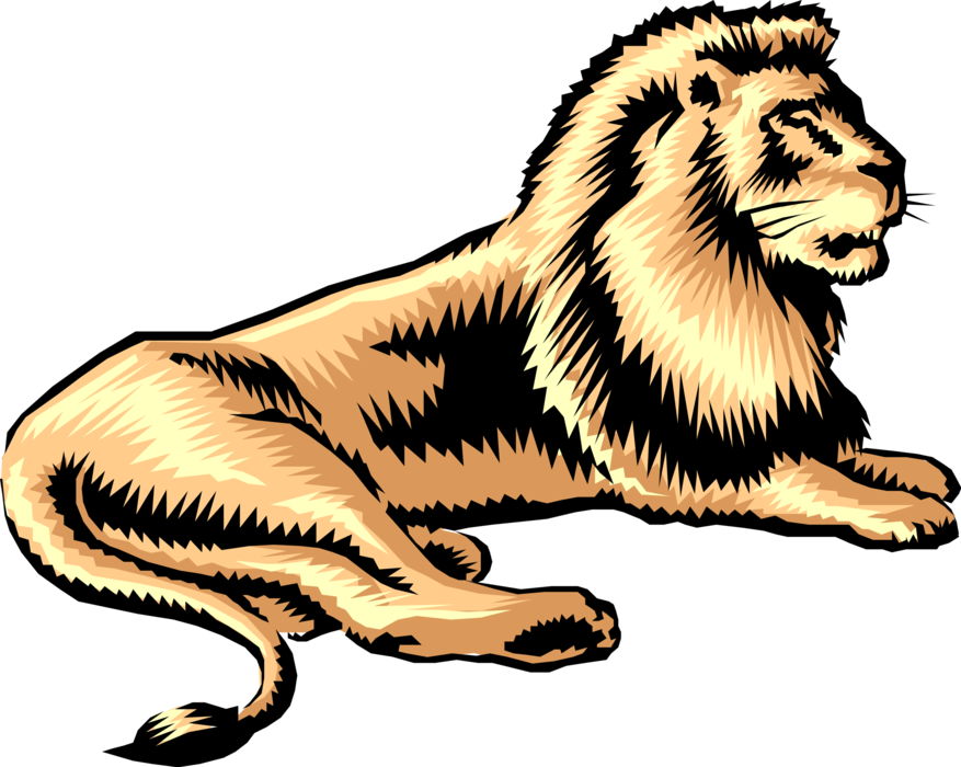 Vector Illustration of Big Cat African Lion King of the Jungel Relaxing