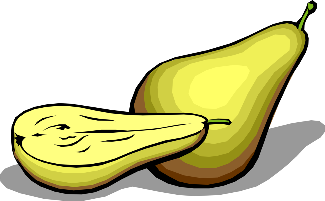 Vector Illustration of Sliced Pomaceous Edible Fruit Pear
