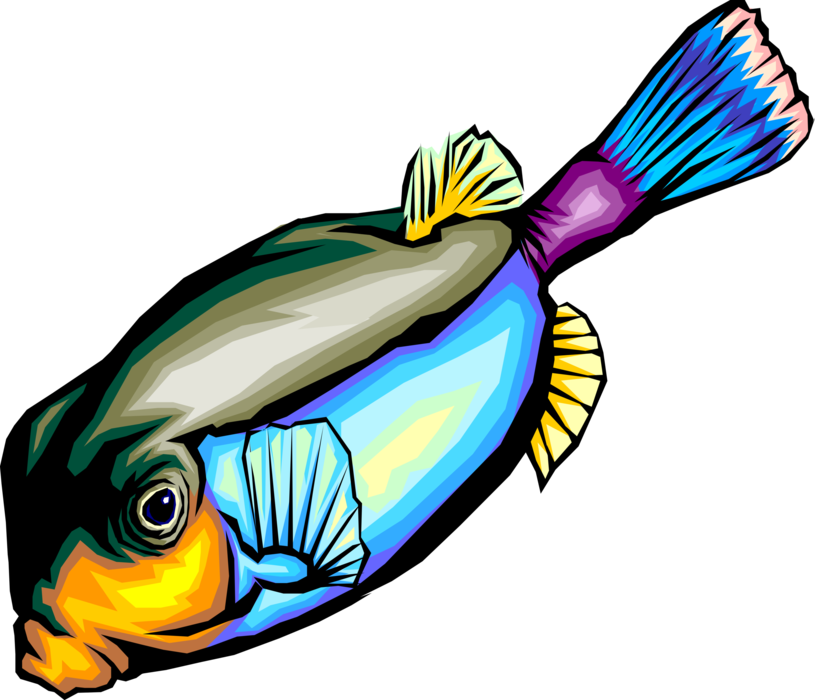 Vector Illustration of Colorful Tropical Marine Fish