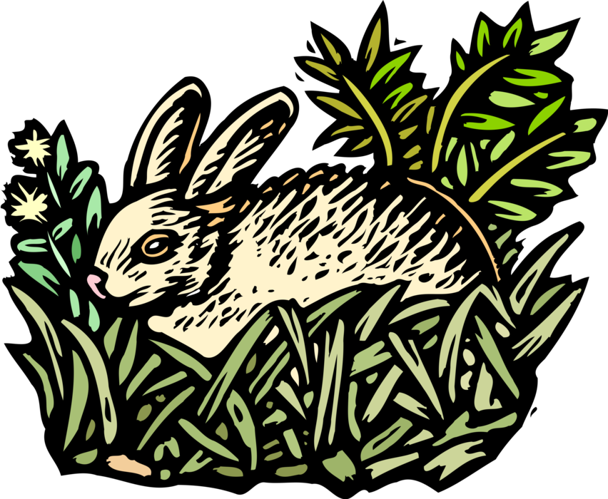 Vector Illustration of Small Mammal Rabbit Lying in Grass