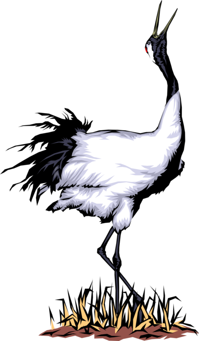 Vector Illustration of Black-Necked Asian Crane Bird Squawks