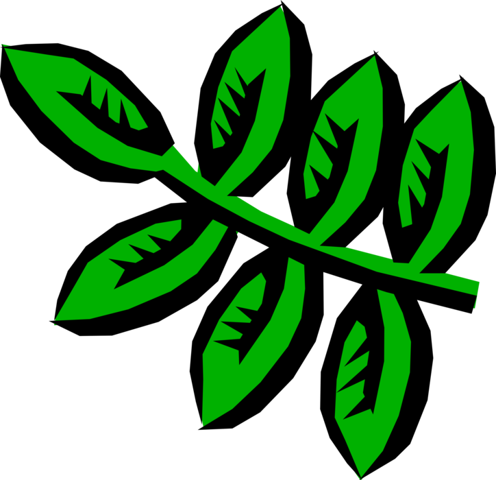 Vector Illustration of Horticulture Botanical Leaves Symbol