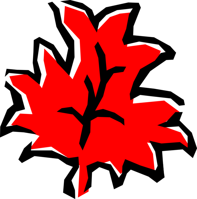 Vector Illustration of Red Deciduous Leaf